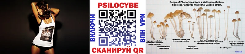 Псилоцибиновые грибы Cubensis  купить   Спасск-Дальний 